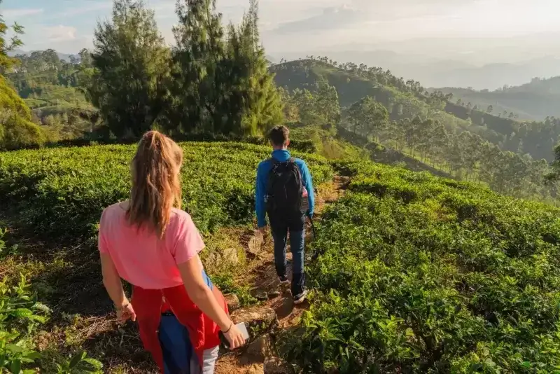Tesouros do Sri Lanka